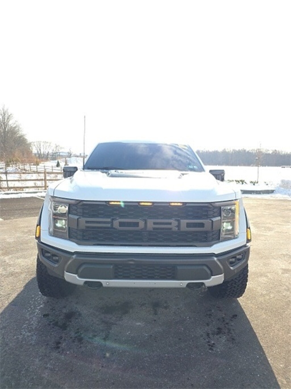 Used 2023 Ford F-150 Raptor Truck
