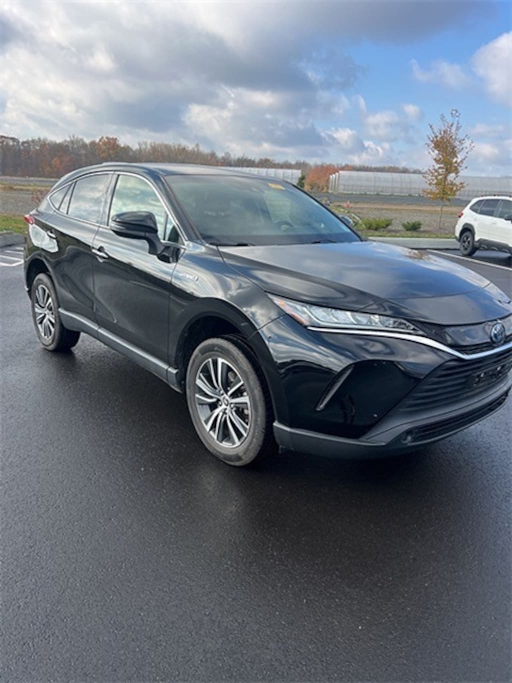 Used 2021 Toyota Venza LE SUV