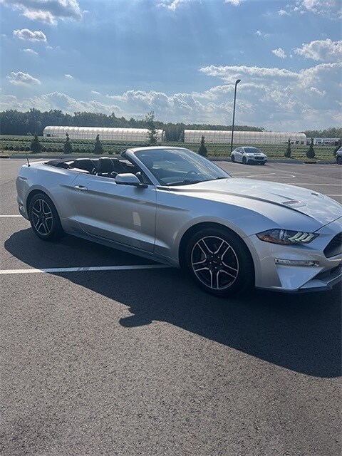 2019 Ford Mustang EcoBoost Premium Convertible photo 3