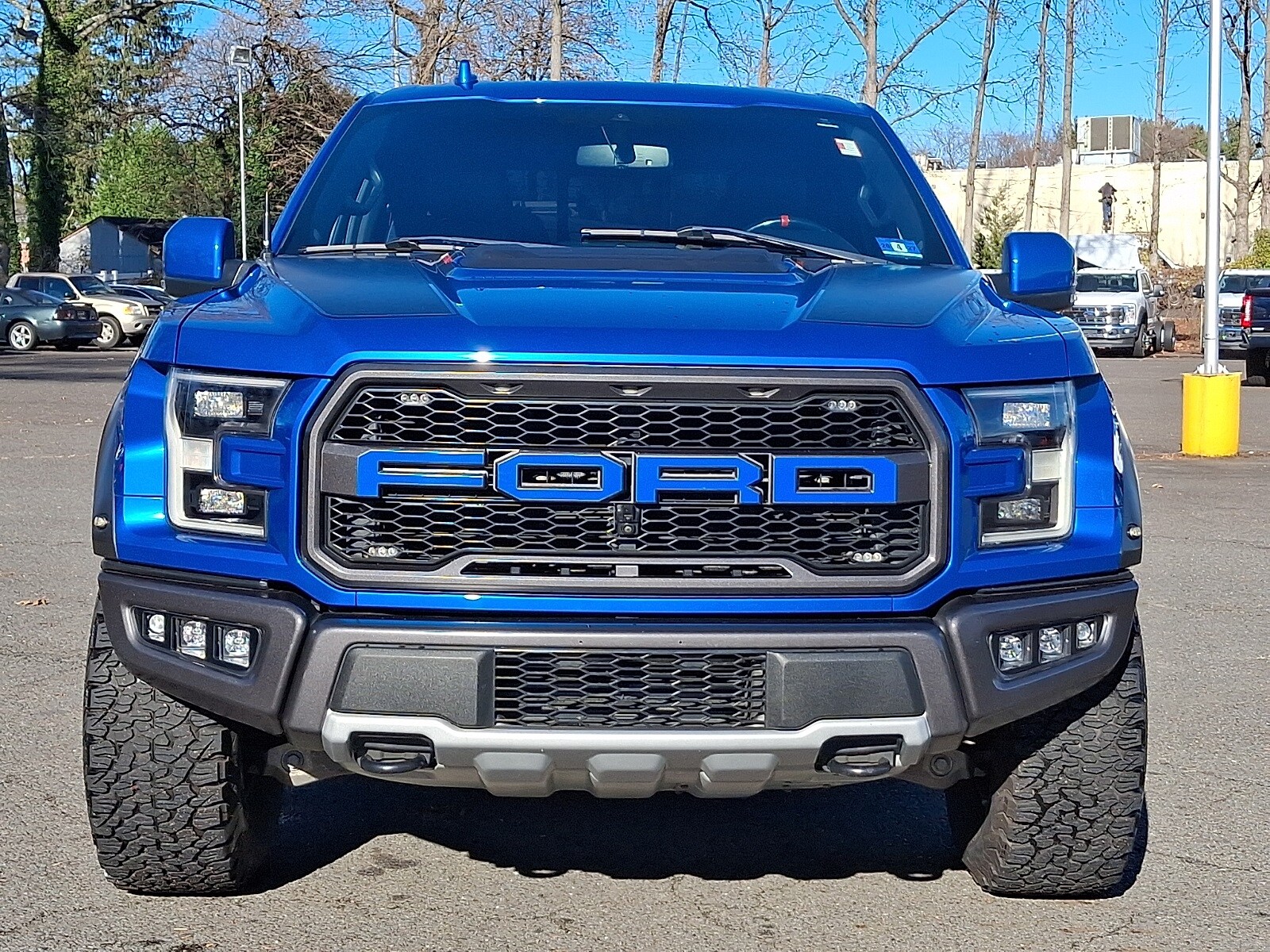 2019 Ford F-150 Raptor photo 2