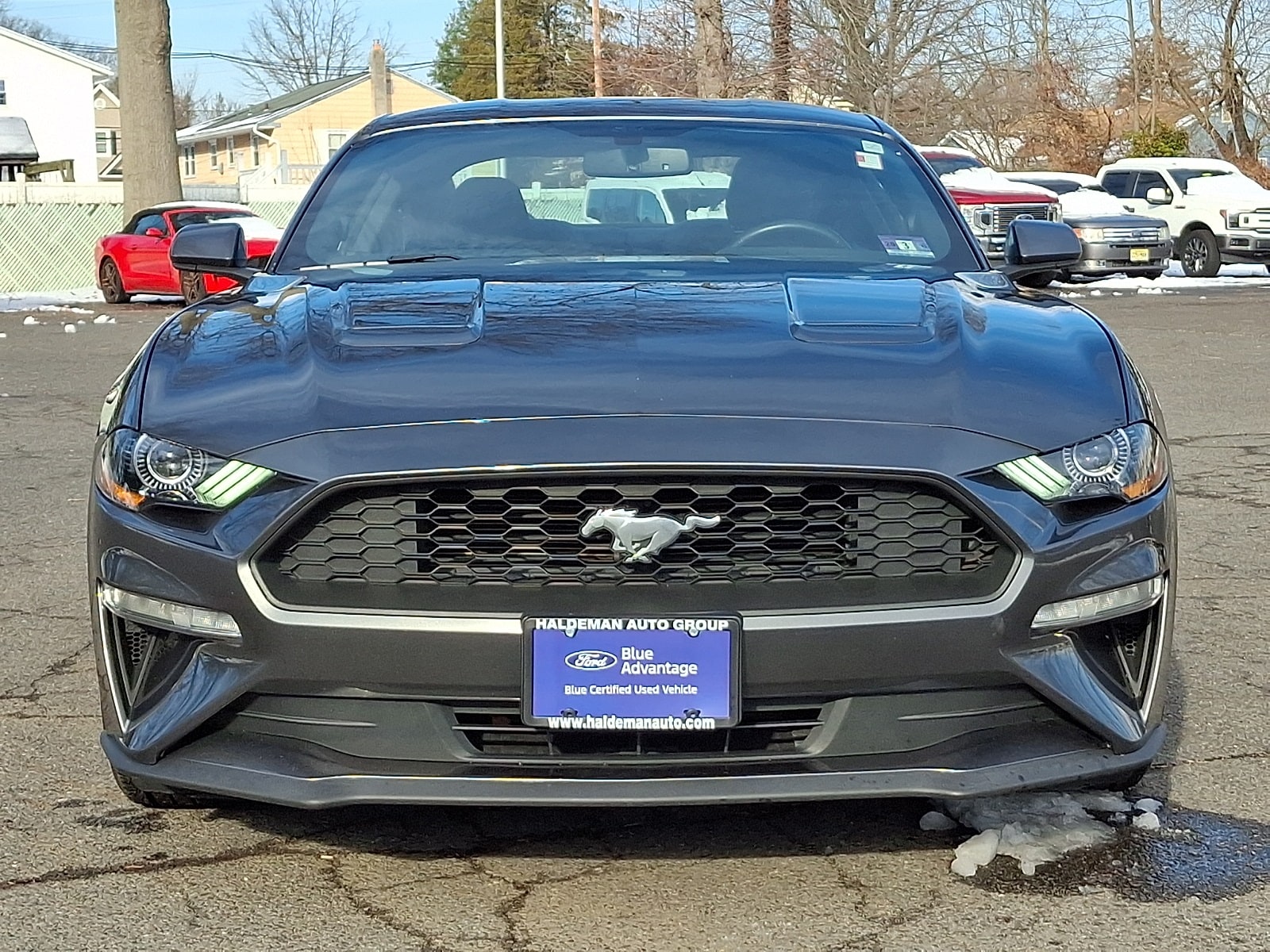 Certified 2019 Ford Mustang EcoBoost with VIN 1FA6P8TH2K5120061 for sale in Trenton, NJ