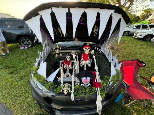 ChrisMcGonigal_SeminoleFL_Mustang_Mach-E_3.jpg