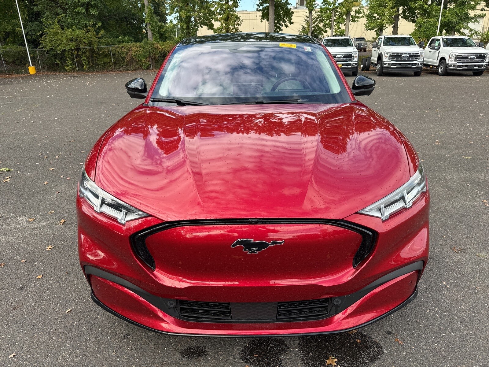 2022 Ford Mustang Mach-E Premium photo 2