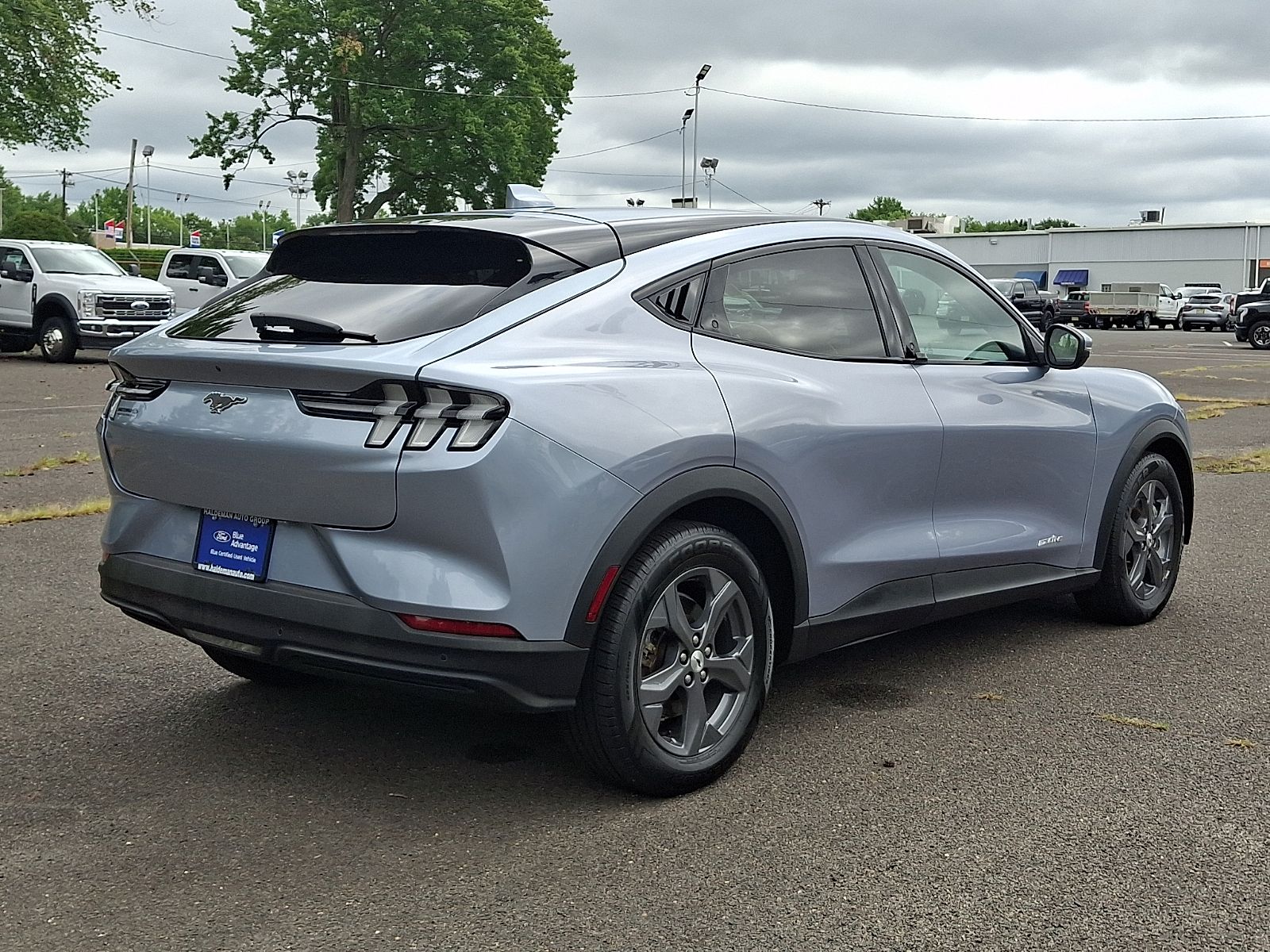 Photo 7