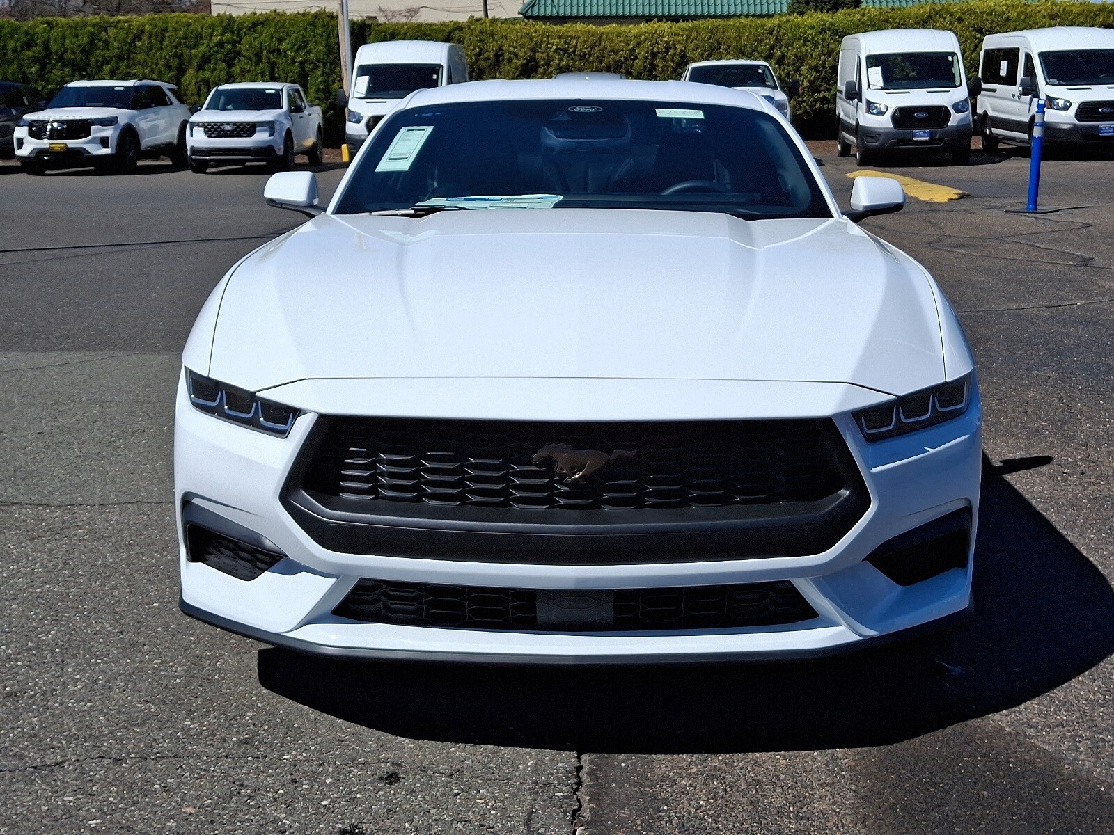 2024 Ford Mustang EcoBoost Premium photo 2