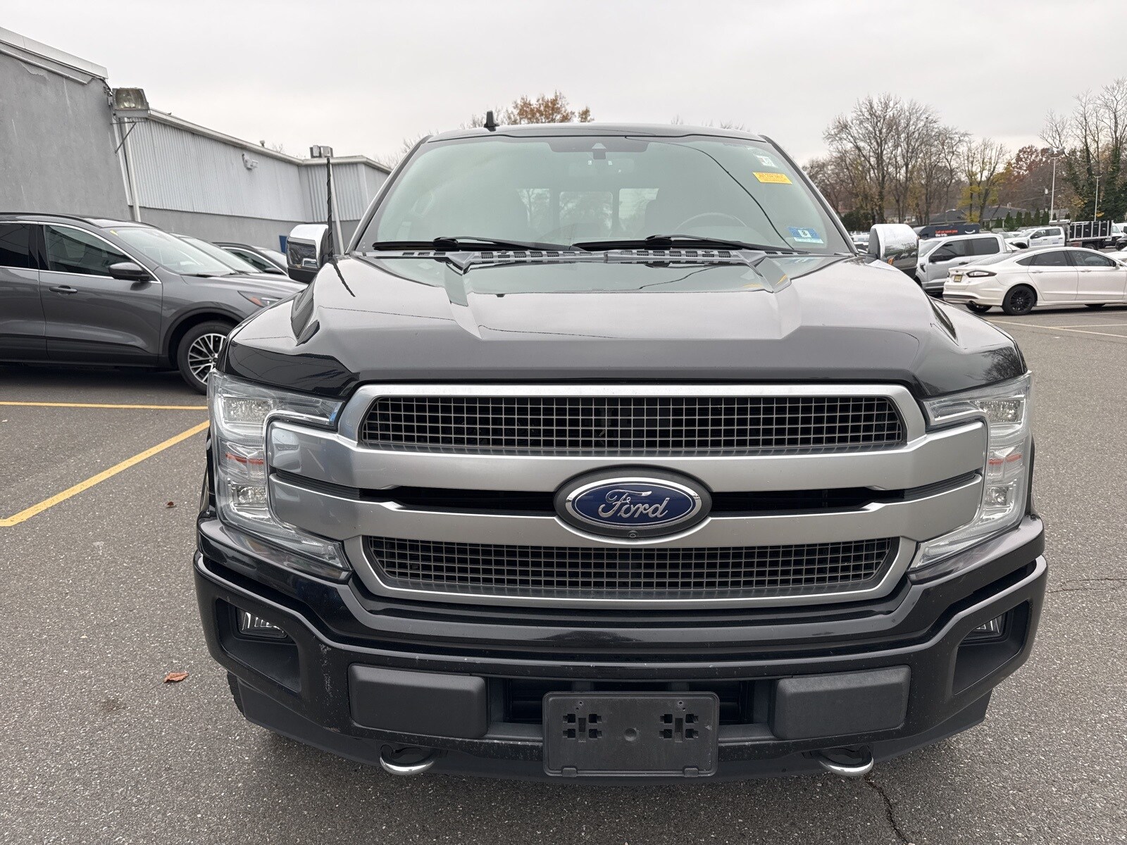 2018 Ford F-150 Platinum photo 3