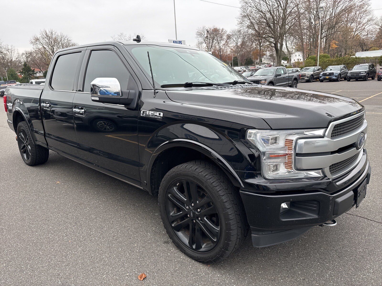 2018 Ford F-150 Platinum photo 4