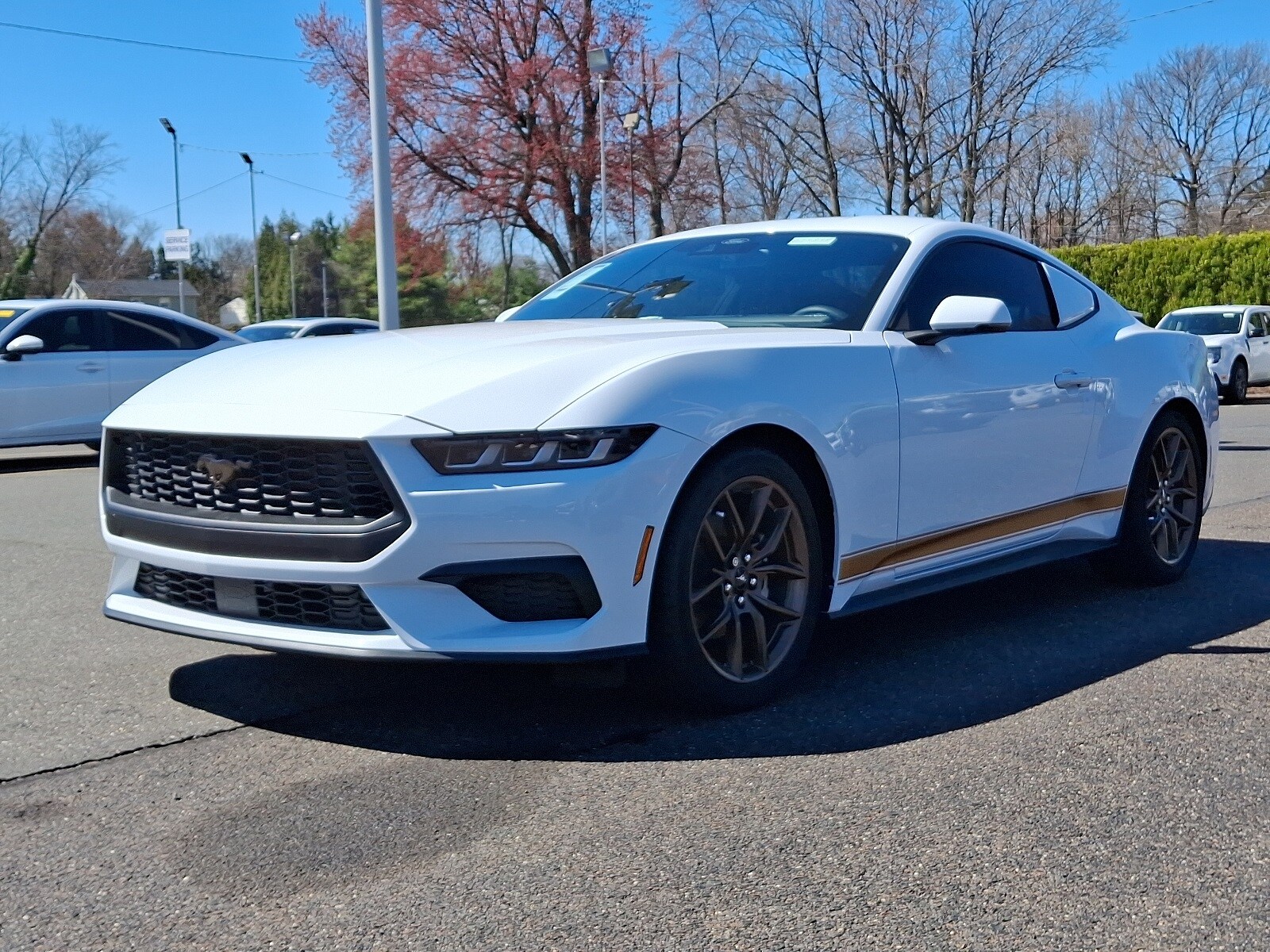2024 Ford Mustang EcoBoost Premium photo 3