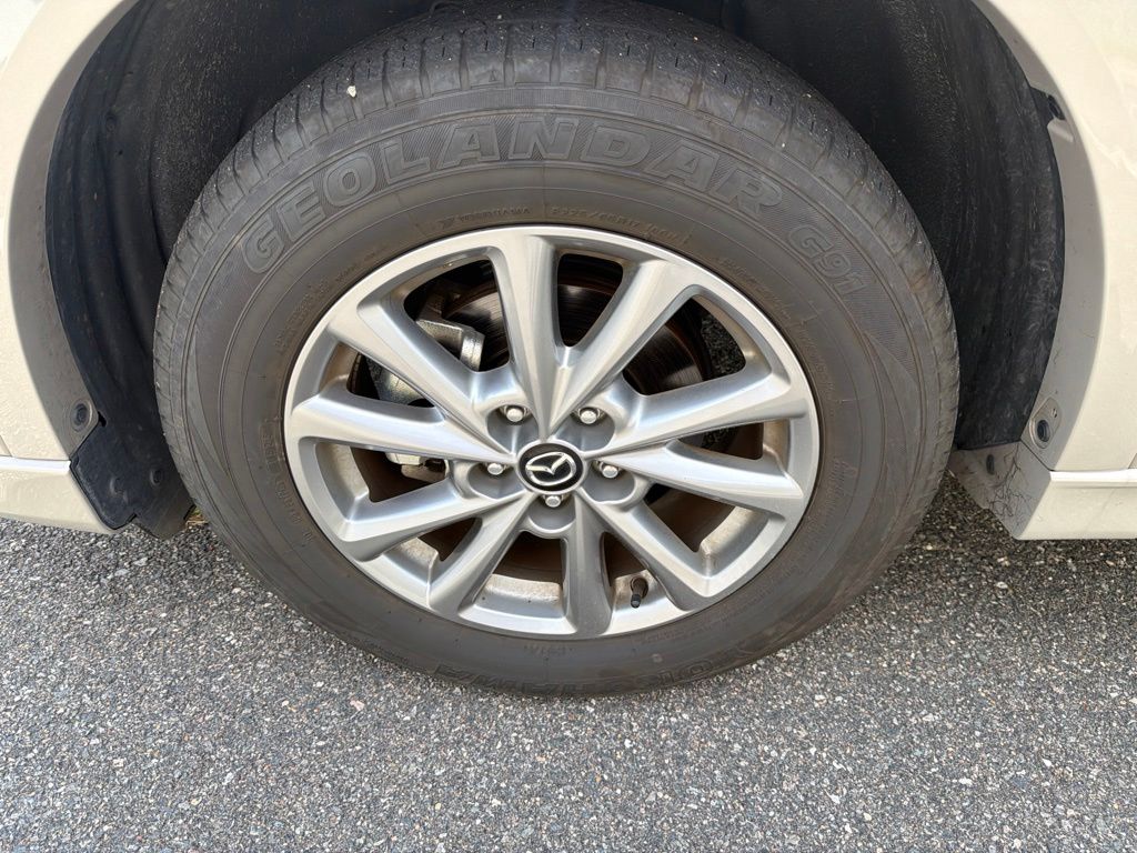 Photo 12