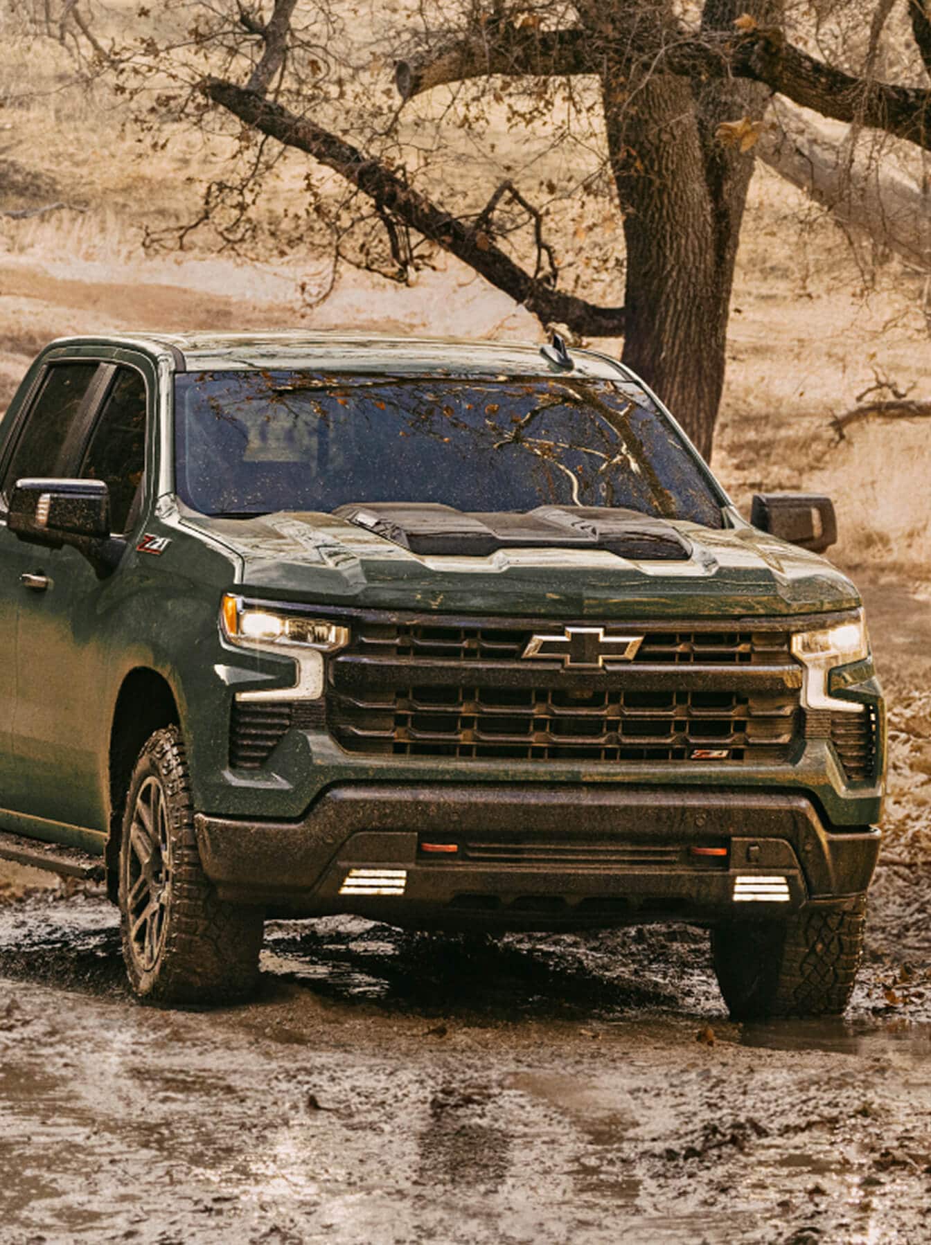 How Have the Exterior Designs Changed for 2025?