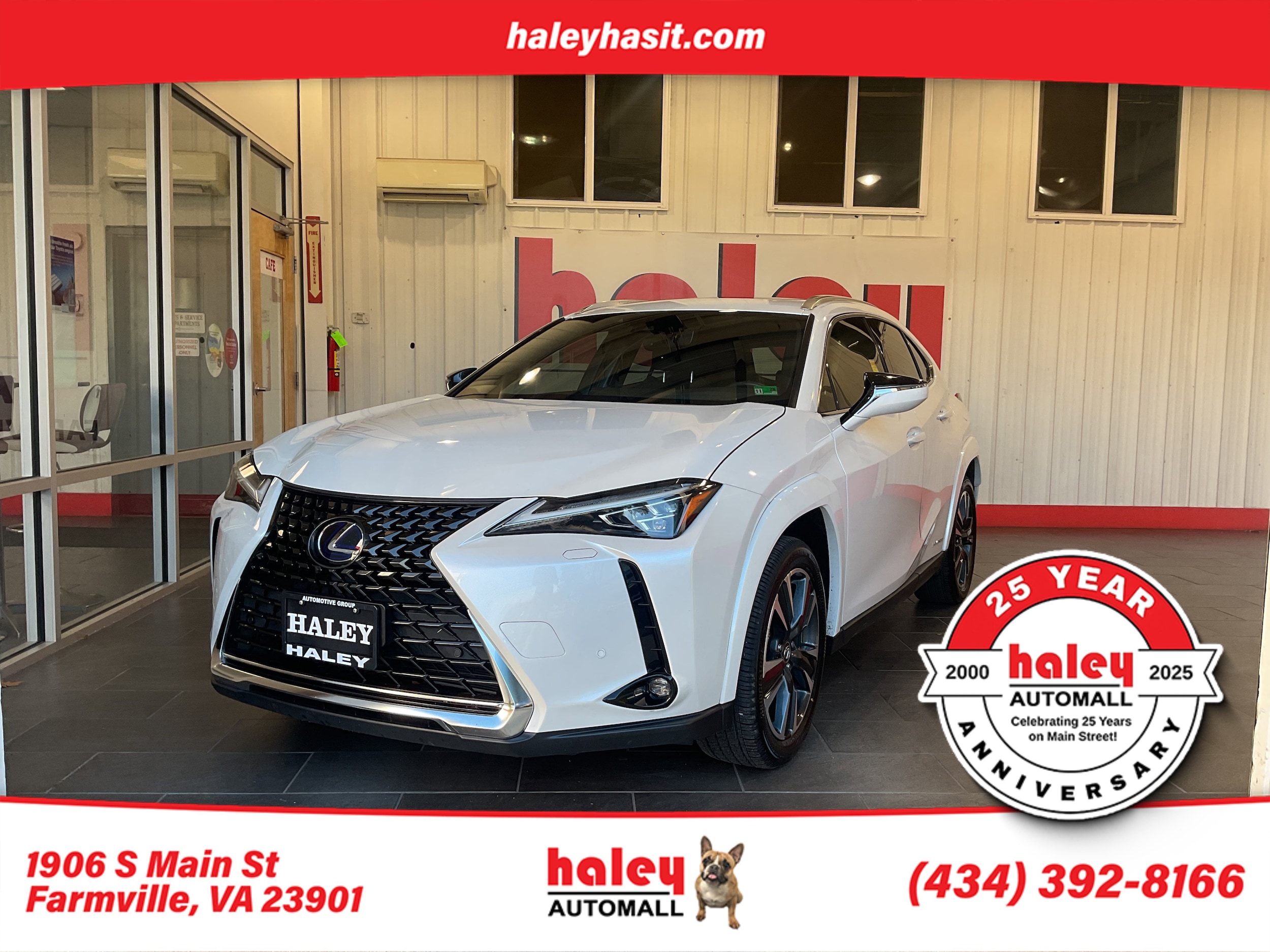 2022 Lexus UX Hybrid 250h LUXURY's photo