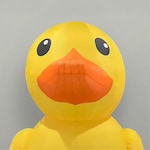 Staff member Lucky Duck from ID_4d2555