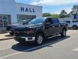 Used 2024 Ford F-150 XLT Truck