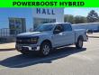 Used 2024 Ford F-150 XLT Truck