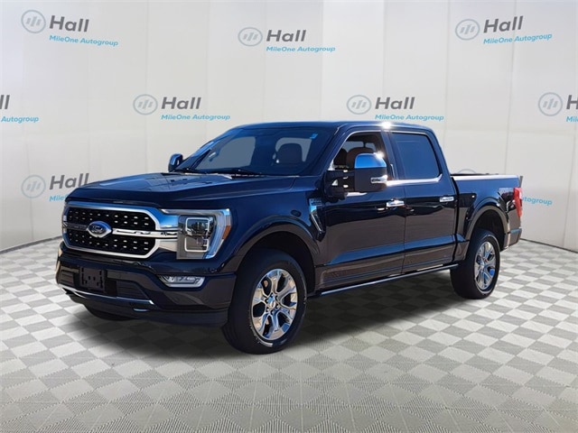 2021 Ford F-150 Platinum's photo