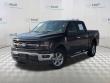 Used 2025 Ford F-150 XLT Truck