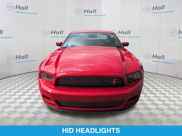 Used 2014 Ford Mustang V6 Premium with VIN 1ZVBP8AM0E5207158 for sale in Elizabeth City, NC