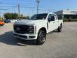 Used 2025 Ford F-250 XL Crew Cab