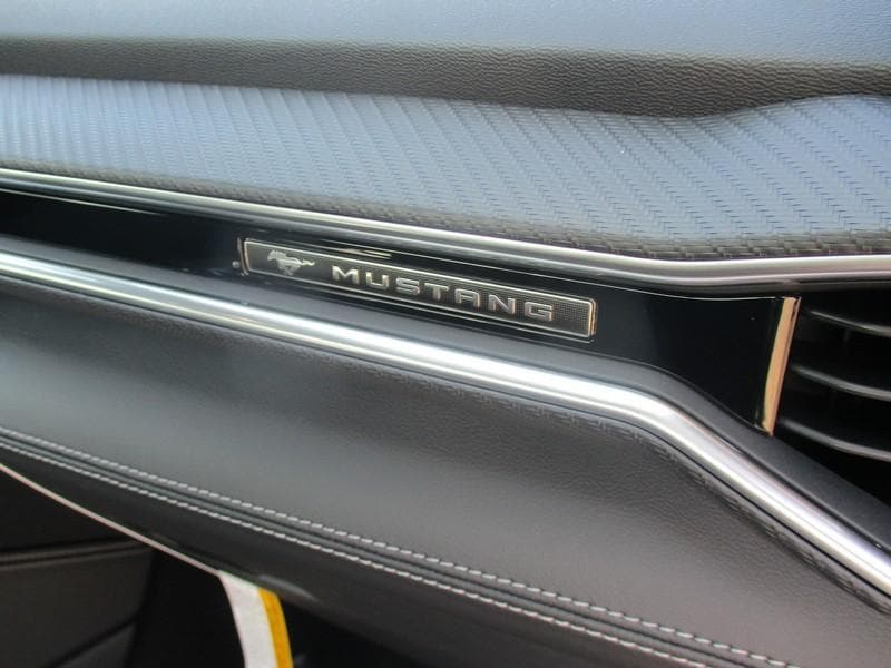 2025 Ford Mustang GT Premium Fastback - Photo 17