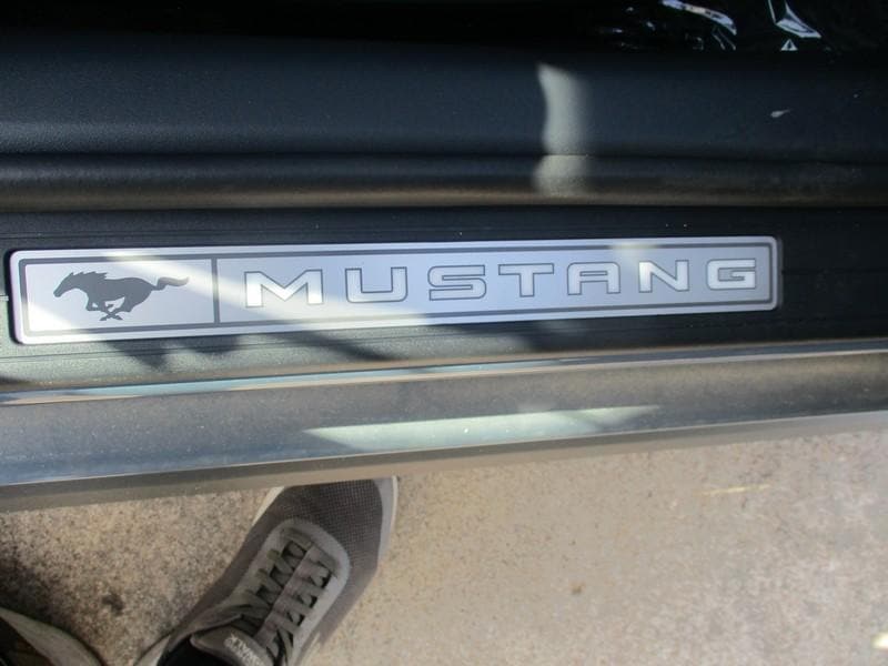 2025 Ford Mustang GT Premium Fastback - Photo 19