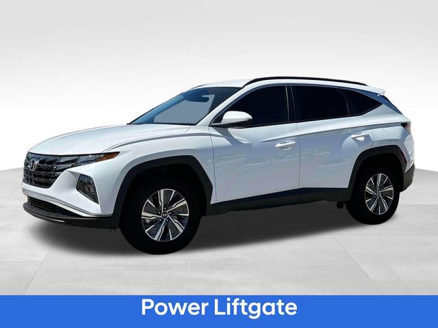 2024 Hyundai Tucson Hybrid Blue photo 2