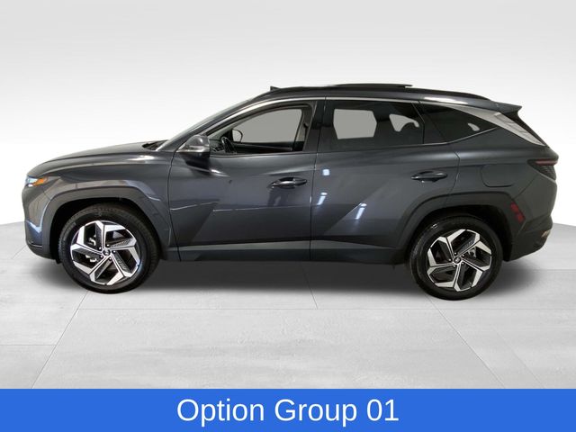 2024 Hyundai Tucson Limited photo 2