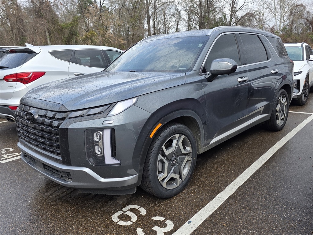 2024 Hyundai Palisade SEL's photo