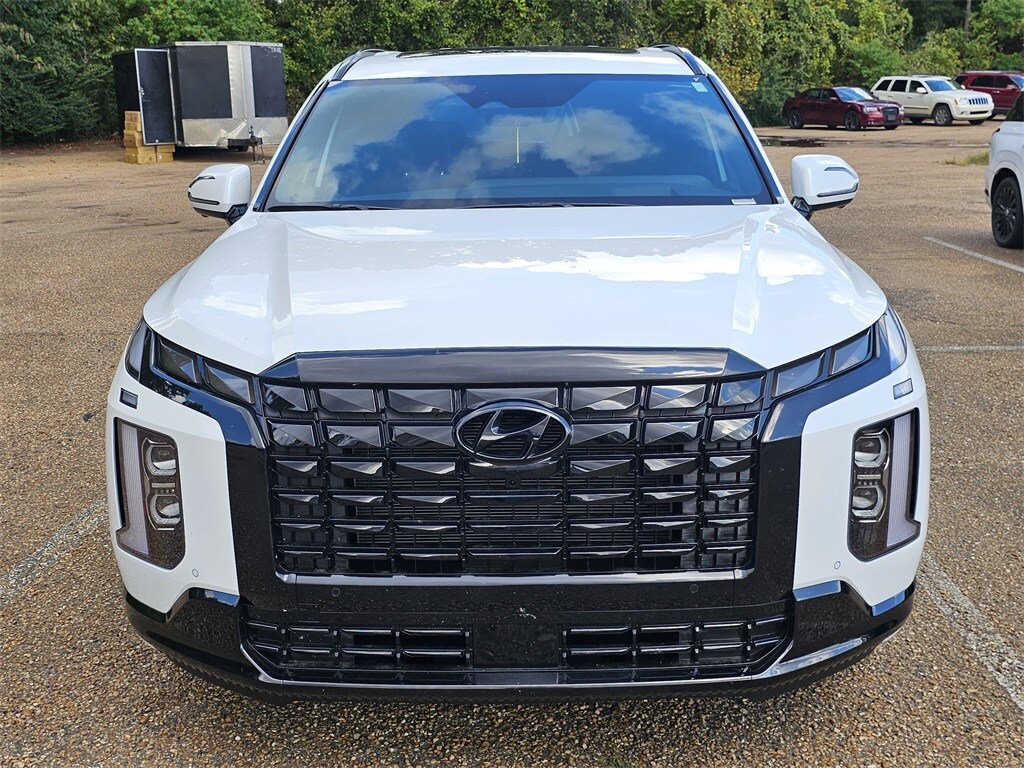 2025 Hyundai Palisade Calligraphy photo 2