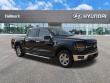 Used 2025 Ford F-150 XLT Crew Cab