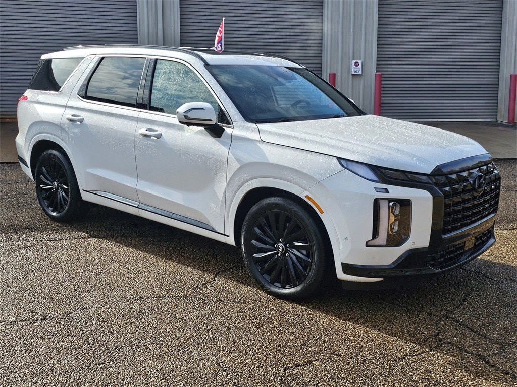 2025 Hyundai Palisade Calligraphy Night Edition's photo
