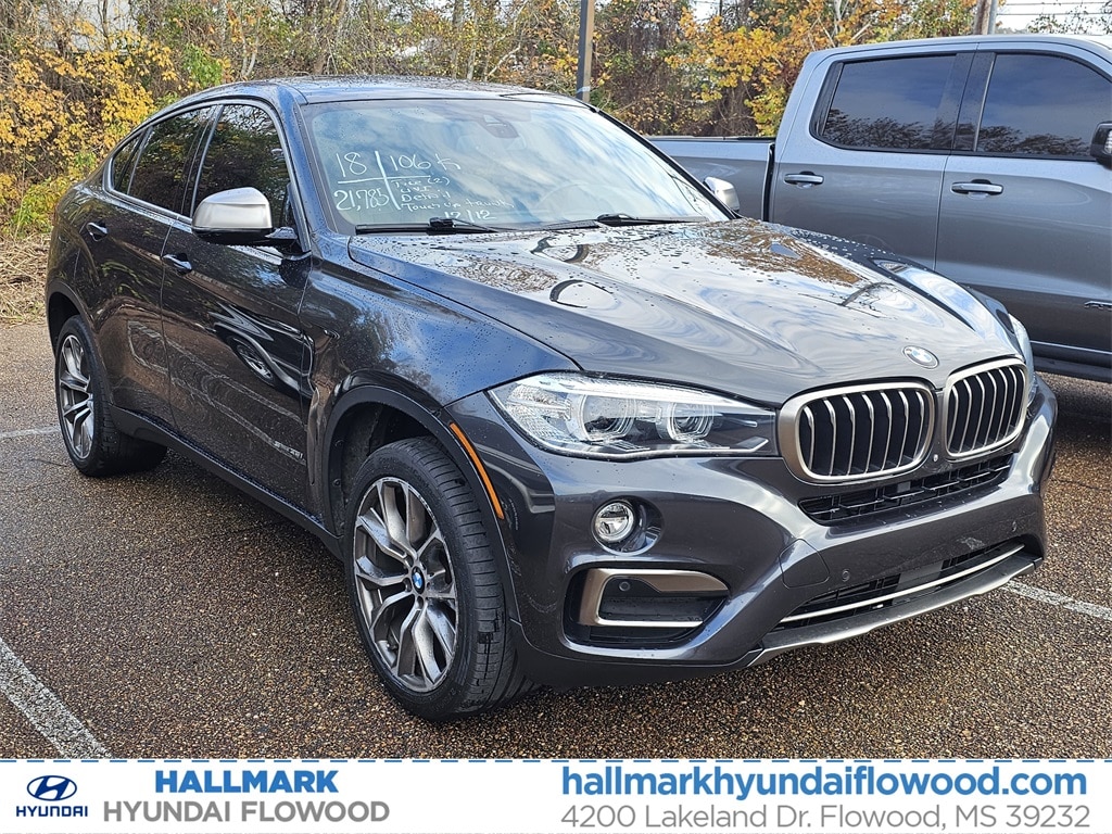 2018 BMW X6 sDrive35i's photo