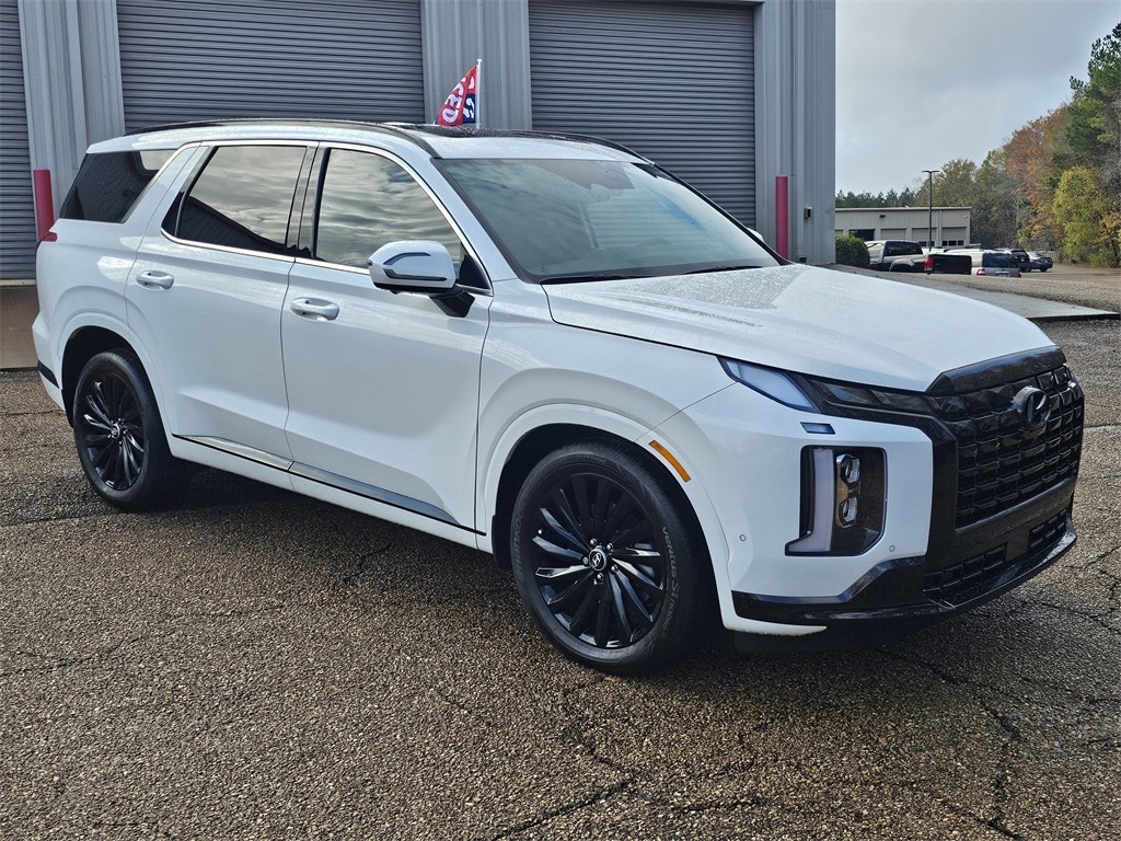2025 Hyundai Palisade Calligraphy Night Edition's photo