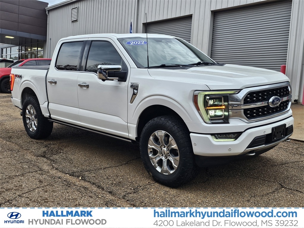 2022 Ford F-150 Platinum's photo