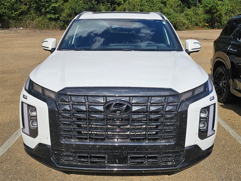 2025 Hyundai Palisade Calligraphy photo 2