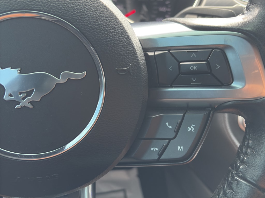 2023 Ford Mustang EcoBoost Premium - Photo 13