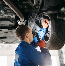 Holiday Travel Special