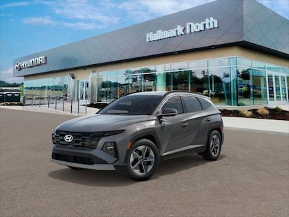 Hyundai Borht Vin18