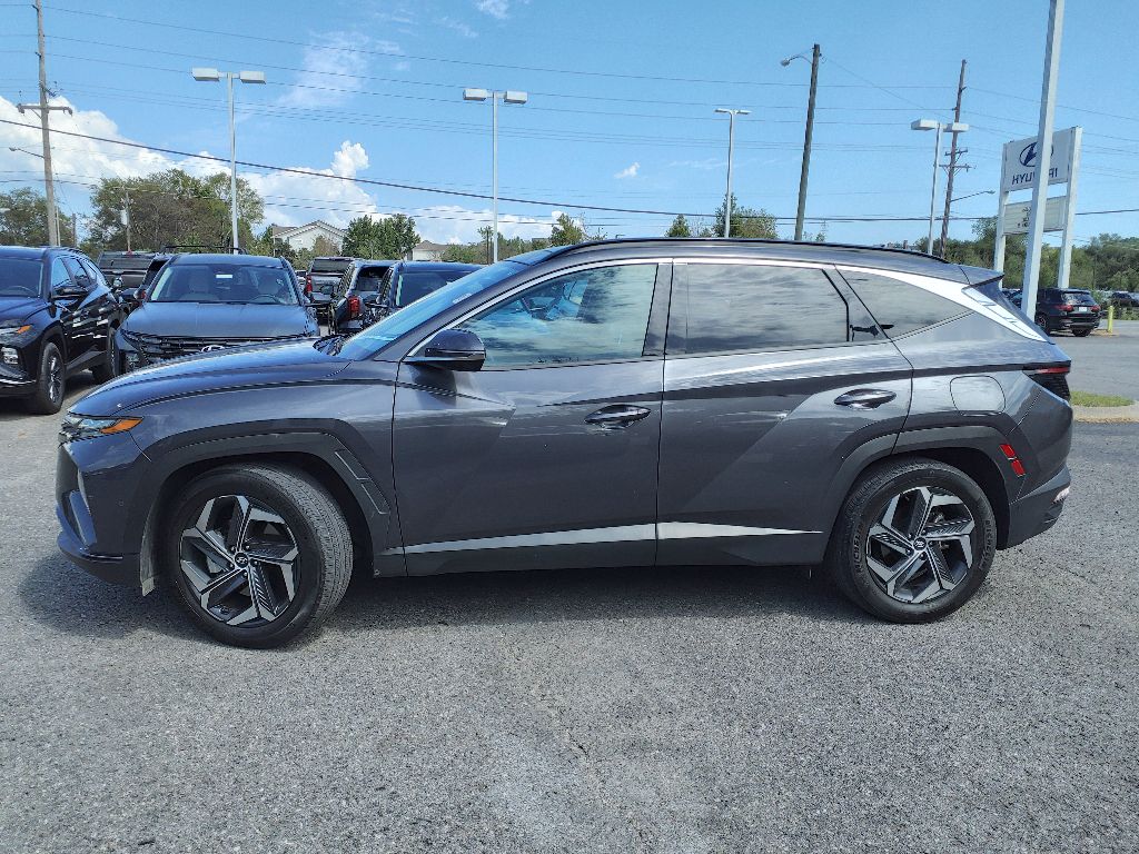 Certified 2022 Hyundai Tucson Limited with VIN KM8JE3AE6NU053864 for sale in Hendersonville, TN