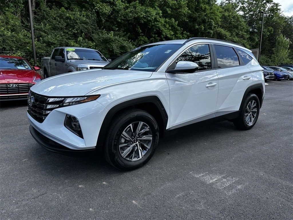 Used 2024 Hyundai Tucson Blue with VIN KM8JBCD10RU201496 for sale in Hendersonville, TN