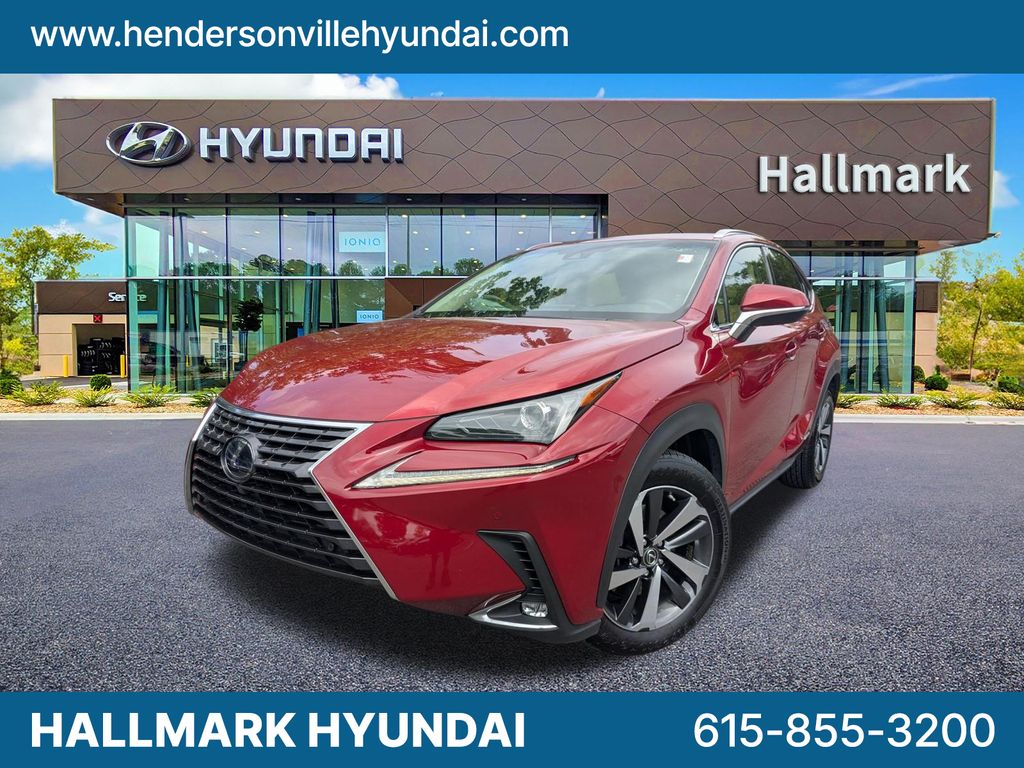 2019 Lexus NX 350h 300h AWD's photo