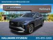 New 2025 Hyundai