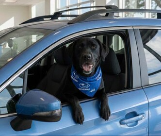 Staff member Max from ID_987ab3