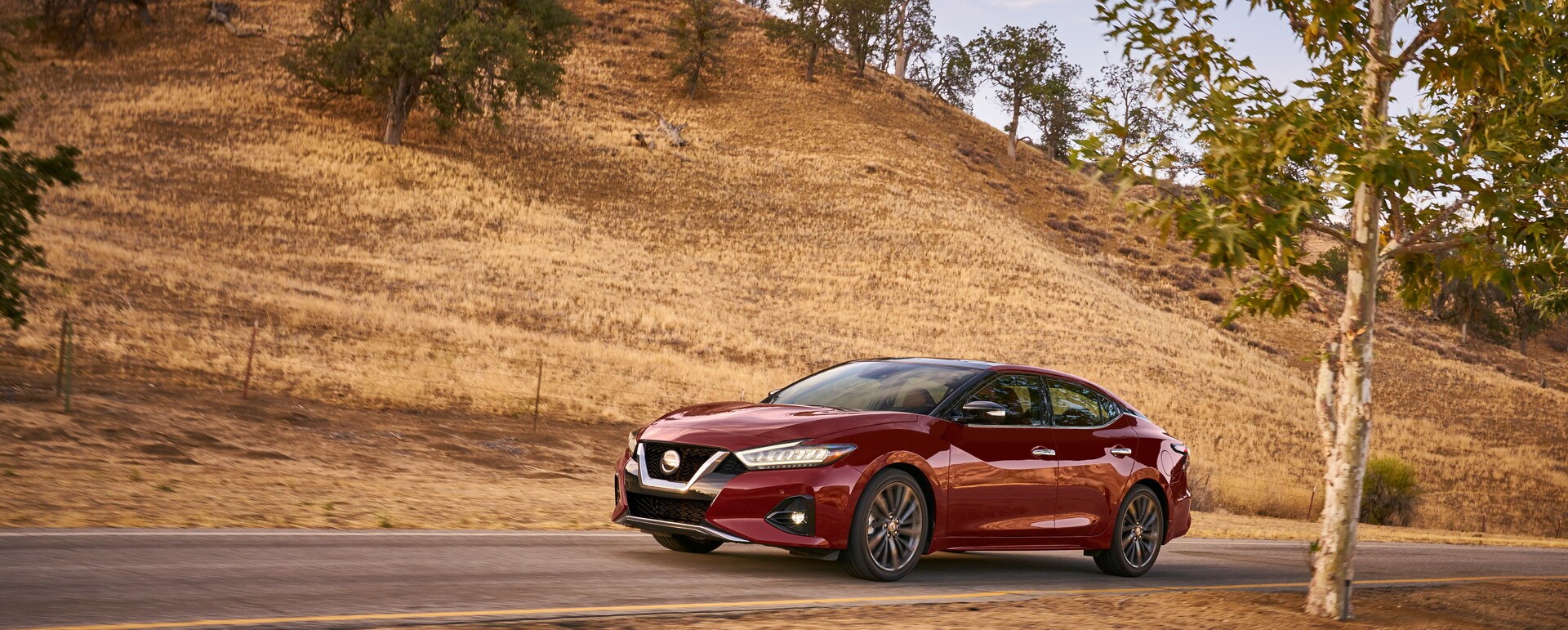 2019 Nissan Maxima.jpg