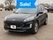 Used 2022 Ford Escape SEL SUV