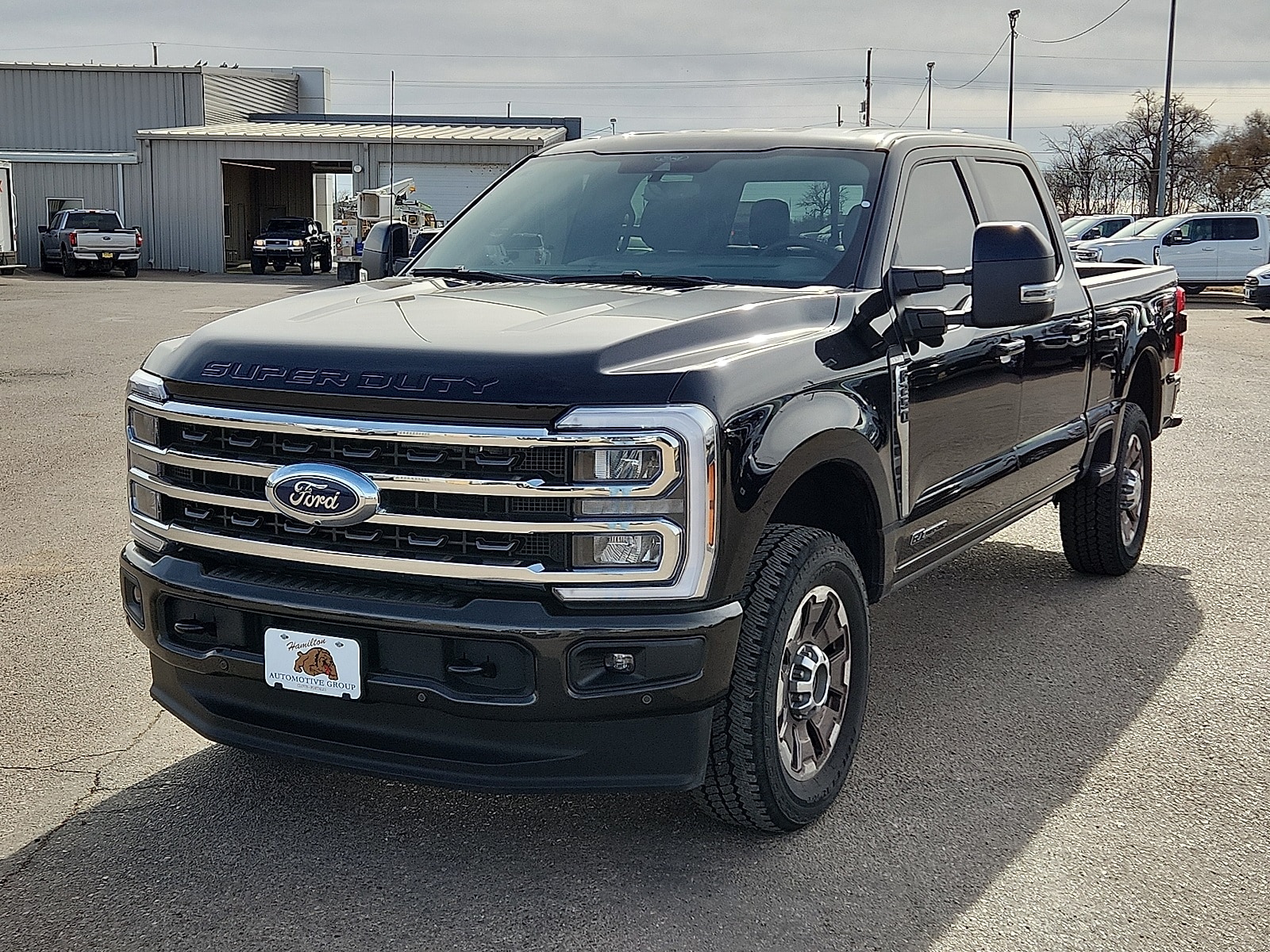 2025 Ford F-250 Super Duty King Ranch's photo