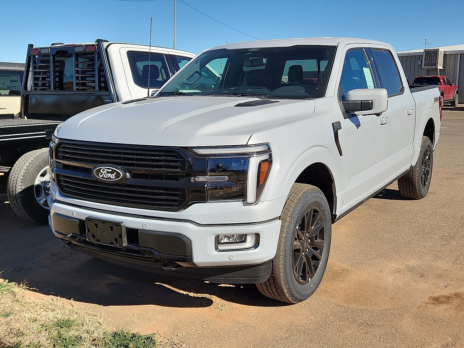 2025 Ford F-150 Platinum's photo