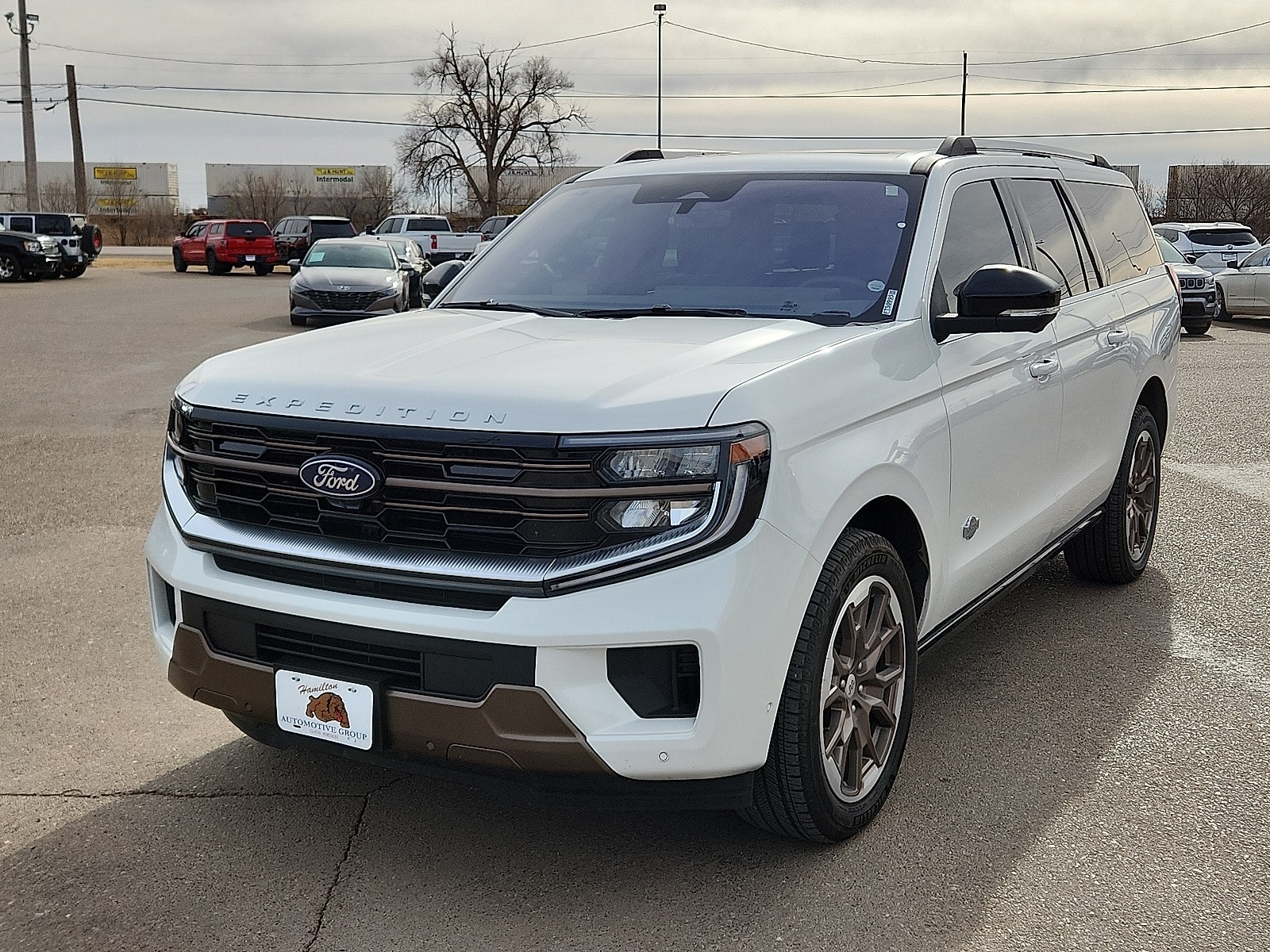 2025 Ford Expedition King Ranch's photo