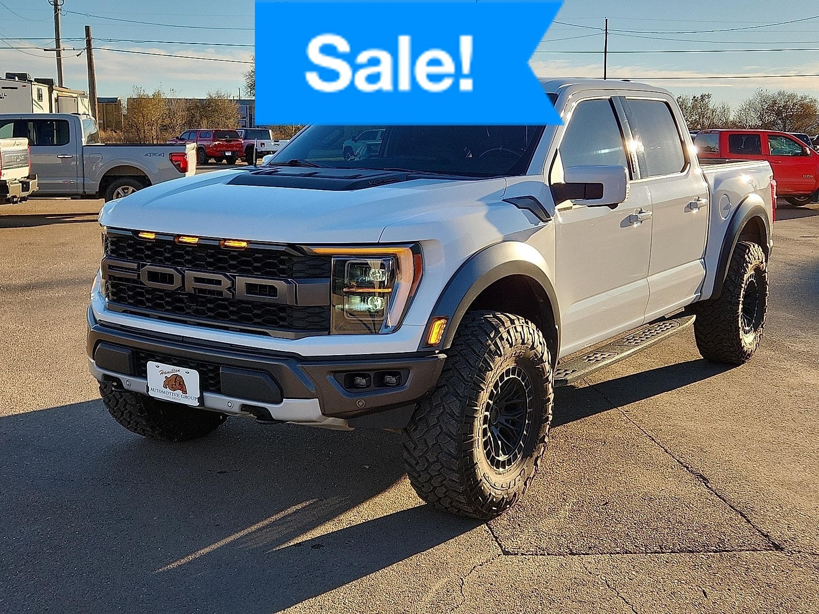 2021 Ford F-150 Raptor's photo