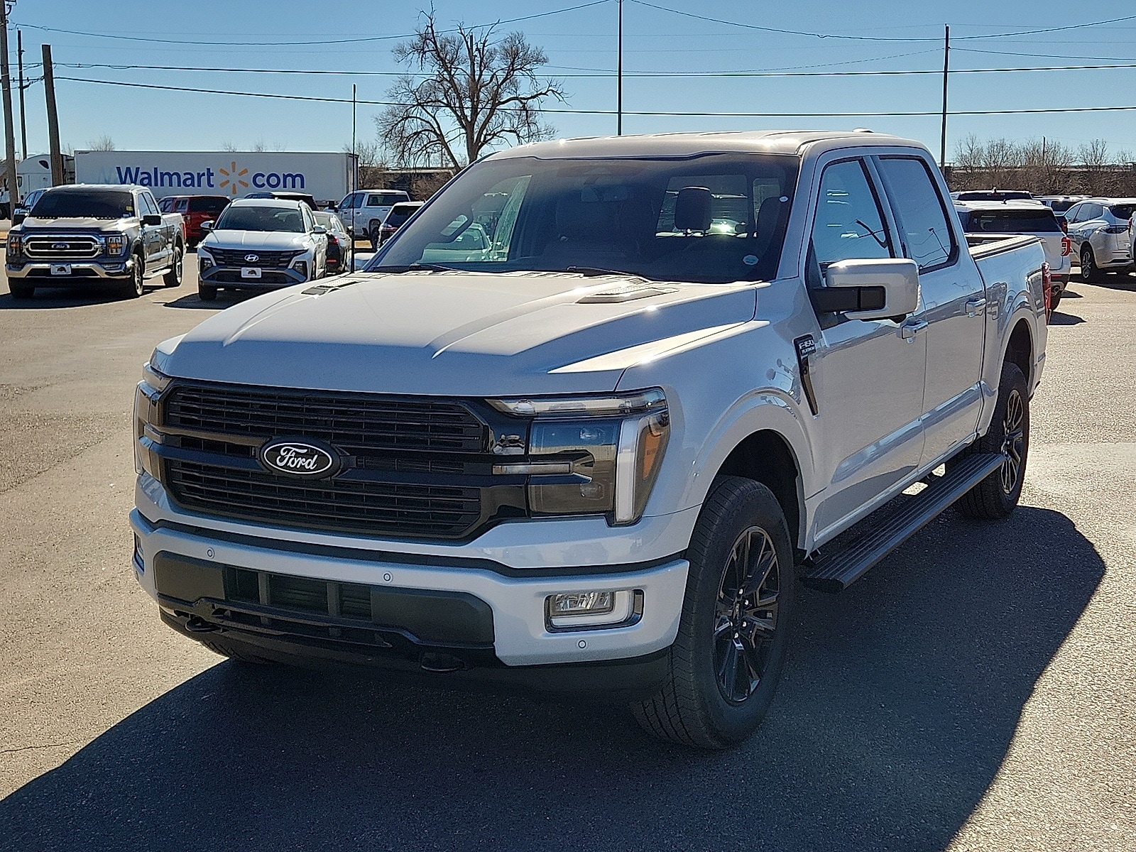 2025 Ford F-150 Platinum's photo
