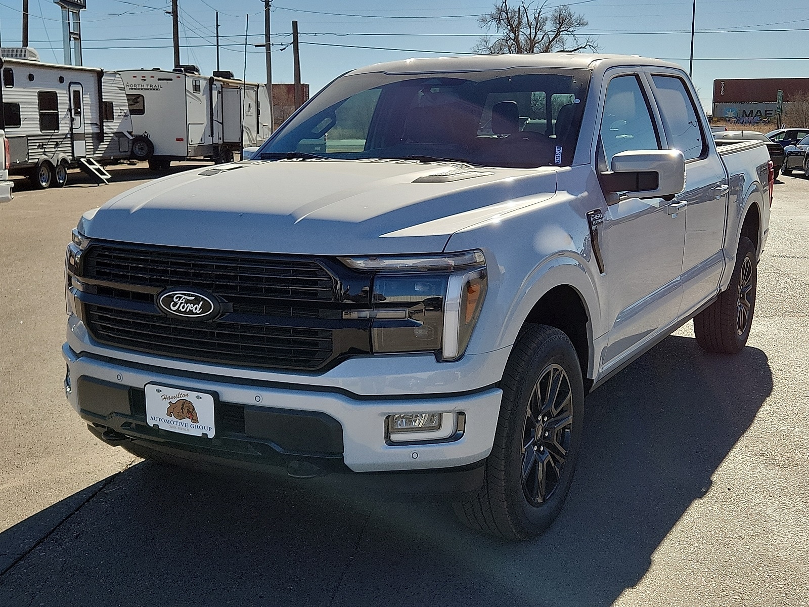 2025 Ford F-150 Platinum's photo